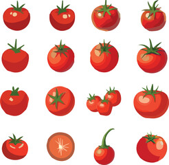 all kinds of vegetable vector