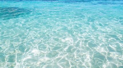 A Tranquil Moment by the Crystal Clear Water of a Serene Ocean