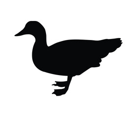 Black color duck silhouette  vector illustration on a white background design. 