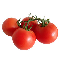 Tomatoes isolated on white background. Clipping path