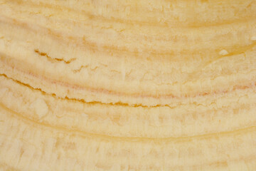 A close-up shot captures the unique texture and light color of the inner side of a banana peel