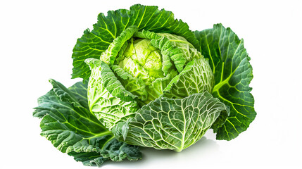 Obraz premium A large green cabbage is sitting on a white background. The cabbage is surrounded by green leaves, which give it a fresh and healthy appearance. Concept of vitality and nourishment