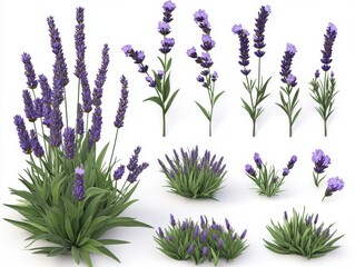 Naklejka premium Pixel Art Lavender Plants Purple and Green Floral Arrangements