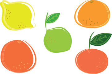 colorful abstract hand drawn outline citrus fruits set