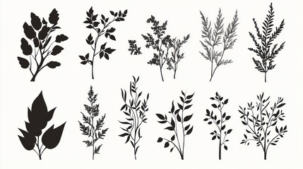Silhouettes of Various Plant Branches and Leaves
