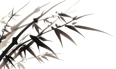 Obraz premium .Illustration of trees, leaves, grass and various botanical elements on a white background.