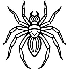 Obraz premium Spider Illustration: A detailed line art illustration of a spider with its eight legs outstretched.