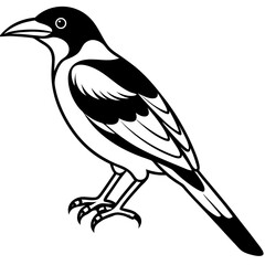 Obraz premium Magpie Silhouette: A striking black and white silhouette of a magpie bird, showcasing its elegant form and distinctive plumage in a minimalist design.