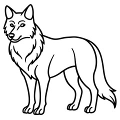 Obraz premium Lone Wolf Illustration: An illustration of a solitary wolf, its keen eyes reflecting the untamed spirit of the wild, drawn with stark lines against a clean canvas.