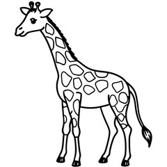 Fototapeta premium Giraffe Outline Illustration: A captivating line drawing of a tall giraffe stands majestically. Ideal for coloring or adding to educational resources.