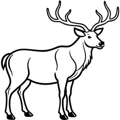 Obraz premium Majestic Stag Illustration: An elegant black and white illustration of a stag, showcasing its impressive antlers and poised stance, perfect for various design applications.