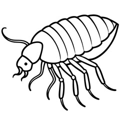 Obraz premium Detailed Insect Illustration: A meticulously drawn illustration showcasing an insect. Its segmented body, antennae, and intricate legs reveal the artist's careful attention to detail.