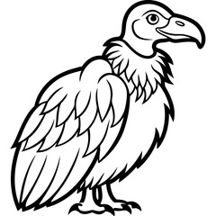 Obraz premium Vulture Illustration: a detailed line art of a vulture showcases the unique anatomy of this fascinating scavenger. Capturing the essence of the bird's striking appearance. 