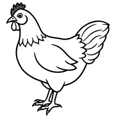 Fototapeta premium Chicken Sketch: A detailed monochrome line drawing captures the classic form of a chicken, highlighting its features.