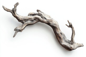 Weathered tree branch with dry peeling bark and slightly curved shape isolated on white background for nature-inspired compositions