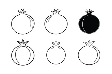 Pomegranate – Punica granatum line art vector illustration