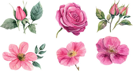 seamless pattern with pink roses