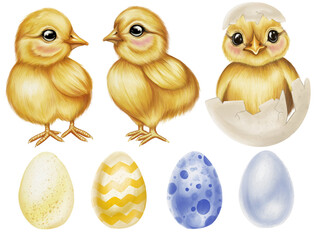 Easter set in watercolor illustration style. Collection of 3 cute yellow chicks, one of which is in an egg, and 4 Easter eggs. Spring print with chickens