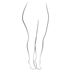 Curvy woman legs, line art on white isolated background. Plus size model, body positive concept