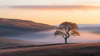 A lone tree standing proud in the middle of a field, with the early morning mist rising around it and a peaceful sunrise casting warm light.