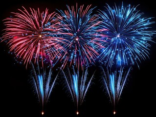 Colorful fireworks burst against a dark night sky