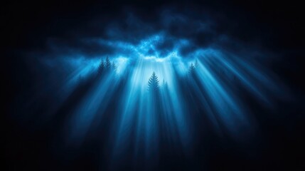 Fototapeta premium Mystical forest bathed in moonlight