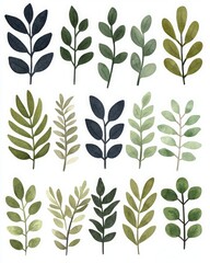Activity routine productivity Balance. A vibrant illustration featuring a variety of green leaves in different shapes and sizes, showcasing botanical diversity and elegant design.