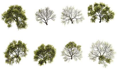 Aerial view arid trees set, vector isolated, transparent backgrounds, PNG, dry forest, barren land, leafless trees, drought landscape, desert vegetation, nature illustration, tree clipart © aura studio