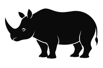rhino isolated on white