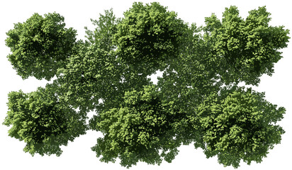 Vector aerial view greenery forest canopy landscape transparent png, nature background, outdoor scene, natural environment, forest texture, lush foliage