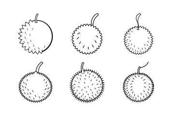 Rambutan – Nephelium lappaceum line art vector illustration