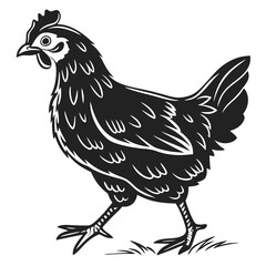 Fototapeta premium chicken-icon-hand-draw-black-colour-easter-monday- (7).eps