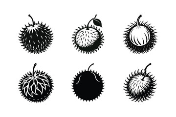 Rambutan &ndash; Nephelium lappaceum silhouette vector illustration