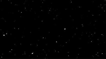 Obraz premium white flying motion on black background, Romantic flying flower petal backdrop, Particles Flying on black