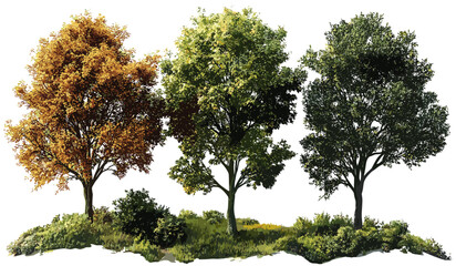 Jungle trees vector collection, hardwood trees cutout, transparent png, tropical forest plants, nature illustration, exotic greenery, environmental design, jungle foliage, green leaves