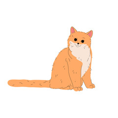 Vector british plush cat or purebred kitten. Feline animal breed or domestic kitty. Domesticated mammal pedigree. Pussycat or puss, catling with whiskers. Purring pet. House fauna and zoology theme.