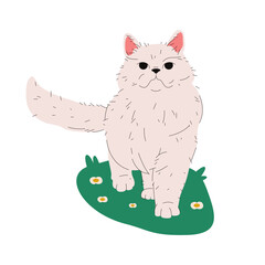 Vector chinchilla cat or traditional persian kitty with white coat. Classical kitten breed. Cartoon pussycat or puss clipart. Purebred catling or domestic feline animal. Puss breeding. Chinnie fauna.