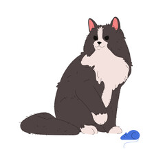 Vector cymric cat or cartoon longhair marx. Long hair feline animal or domesticated purring mammal. Domestic purebred pet. Kitten breed or pussycat companion, sociable kitty. Catling fauna. Zoology.