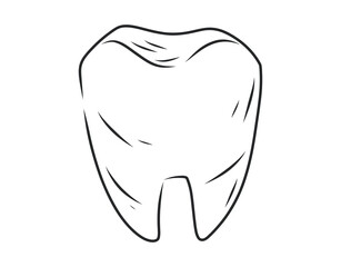 Hand drawn black and white vector isolated tooth illustration. Simple line sketch of molar, dental care concept.