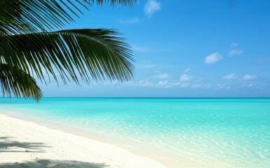 Bright Sky Beach Scene Turquoise Water Kissing White Sand Under Clear Skies Palm Shade, Evoking Paradise