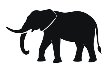 Fototapeta premium elephant vector illustration