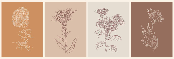 Set of Aster, September birth month flower wall art, posters. Botanical line art vector illustrations on terracotta and beige backgrounds. Modern design for jewelry, tattoo, logo, packaging. © Creative_Juice_Art