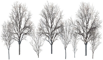 Vector tree silhouettes, landscape decorations, cutout shapes, PNG collection, nature design, outdoor trees, eco-friendly decor, greenery art, nature silhouette