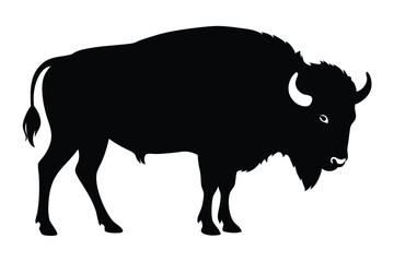 buffalo vector illustration