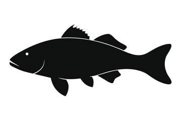 fish vector illustration