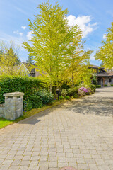 Entrance of grey painted luxury house in summer with stair steps and nice landscape in Vancouver, Canada, North America. Day time on June 2024