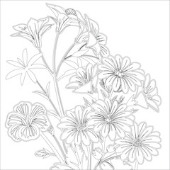 Fototapeta premium Black and White Flowers Coloring Page with Line Art Illustration