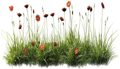 Flowery meadow illustration, transparent background PNG, nature design, green grass, spring flowers, vibrant meadow, blooming grass, floral vector, fresh grass, meadow landscape