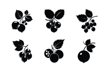 Redcurrant – Ribes rubrum silhouette vector illustration