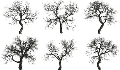 Death trees cutout set, vector from above, barren tree silhouettes, dark spooky forest, winter landscape, eerie atmosphere, leafless branches, gloomy woods, creepy tree design